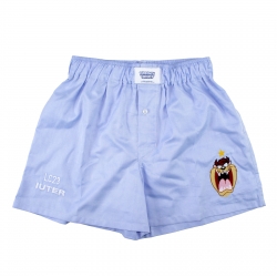 LC23 IUTER Looney Tunes AC Taz Boxer