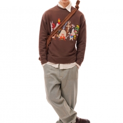 Looney Tunes Sweatshirt Brown
