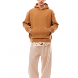 Hoodie Sweater Camel